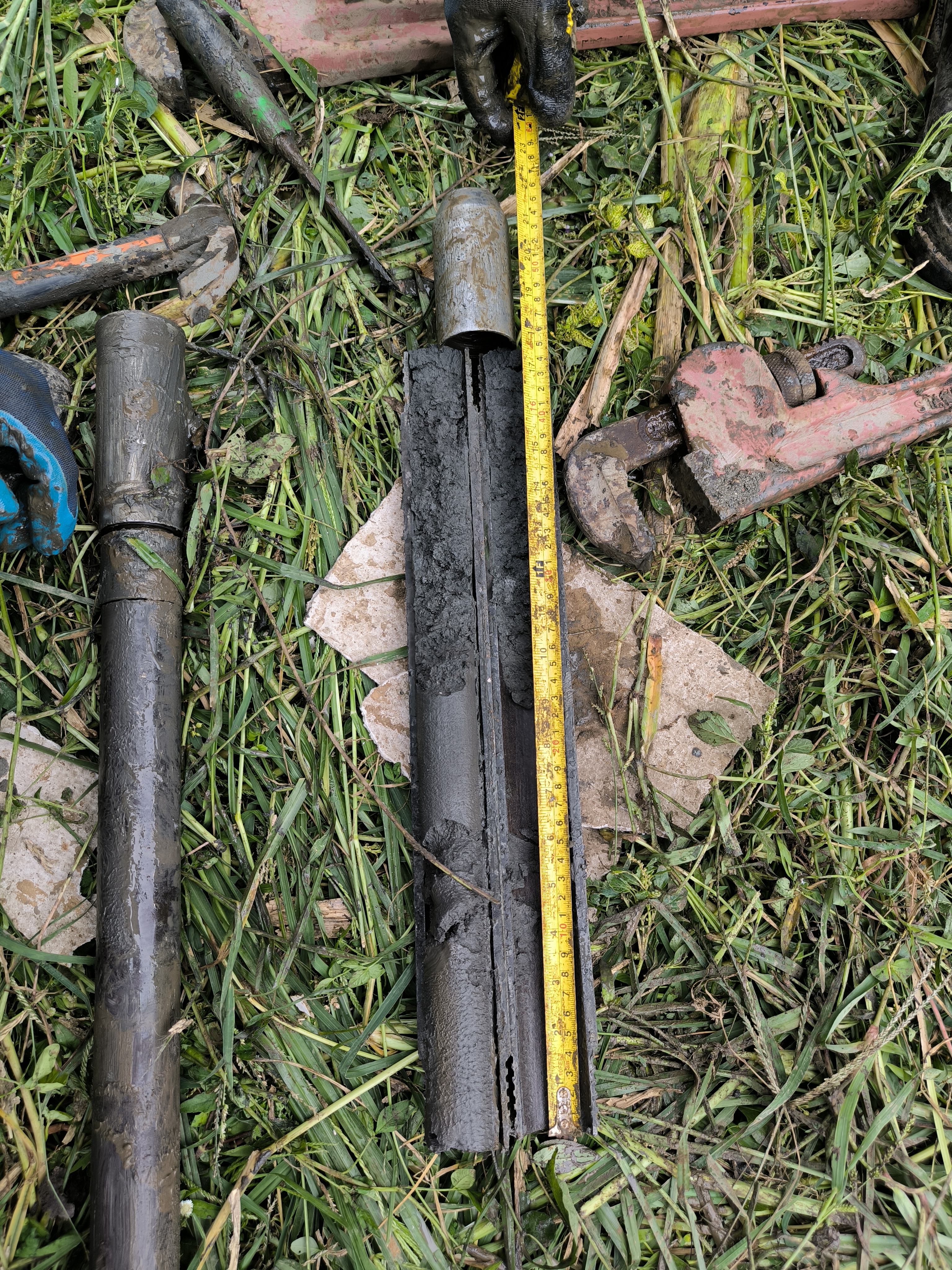 Molave Soil Sample